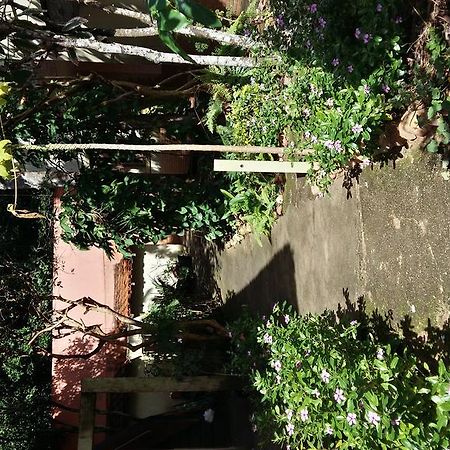 Pousada Terra Mar Morada Nova Exterior foto